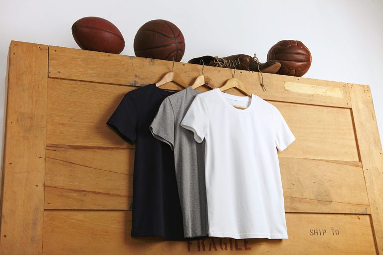 Praesent libro se cursus ante